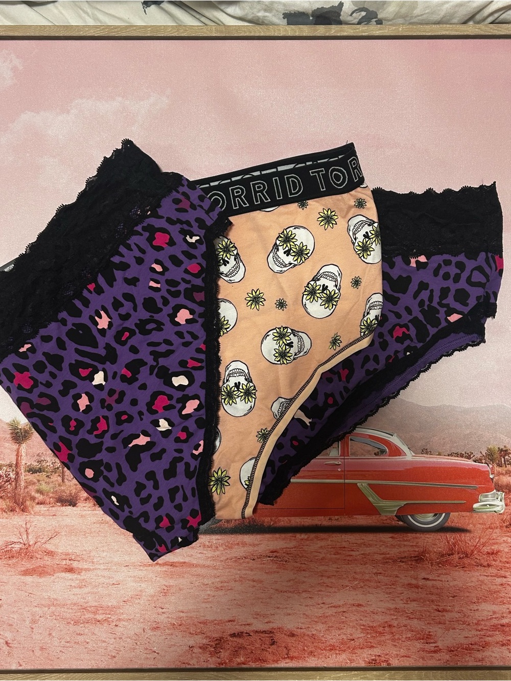 NWT- TORRID CURVE -3 Pack bundle. Leopard and skulls. Plus size 2 underwear